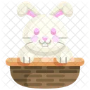 Conejo de Pascua  Icono