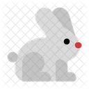Conejo  Icono