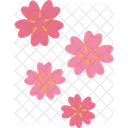 Confetti Sakura Flower Icon