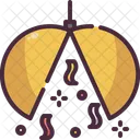 Confetti Ball  Icon
