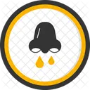 Congestion Pollen  Icon