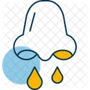 Congestao Polen Alergia Congestao Nasal Nariz Entupido Sinusite Muco Respiratorio Nariz Entupido Congestao Sinusal Icon