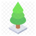 Conifer Evergreen Pine Tree Icon