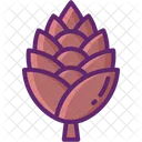 Conifer Cone Ecology Nature Icon