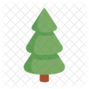 Conifer fir tree  Icon