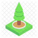 Greenery Conifer Tree Shrub Icon