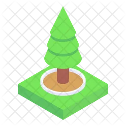 Conifer Tree  Icon