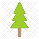 Conifer Tree  Icon