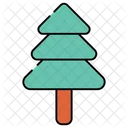Conifer Tree  Icon