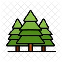 Conifer Tree  Icon