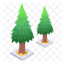 Conifer Trees  Icon