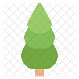 Coniferous Tree  Icon