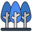 Conifers  Symbol