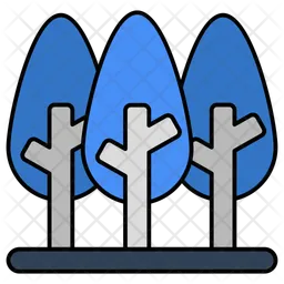 Conifers  Icon