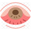 Conjunctivitis Eye Irritation Icon