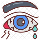 Conjunctivitis  Icon