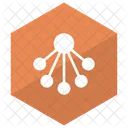 Connection Network Computing Icon