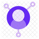 Connection Network Internet Icon