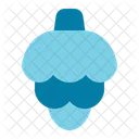 Cono Pino Nuez Icon