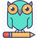 Conocimiento Owl Educacion Icono