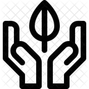 Conservacion Mano Cuidado Icono