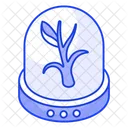 Conservation Plant Agriculture Icon