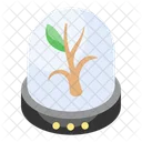 Conservation Plant Agriculture Icon
