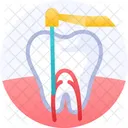 Healthcare Medical Dentistry Icon