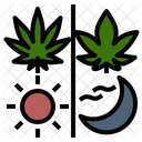 Sativa Giorno Indica Icon