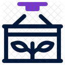 Container  Icon