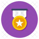 Medal Star Medal Star Pendant Icon