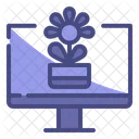 Conteudo Organico Icon