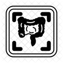 Contrast Dye  Icon