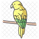 Conures Goldenconure Cockatoo Icon