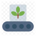 Conveyor Product Smart Farm Icon