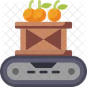 Box Conveyor Fruit Icon
