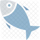 Cooked fish  Icon