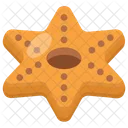 Cookie Biscuit Brownie Icon