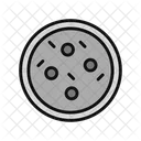 Cookie Cookies Dessert Icon