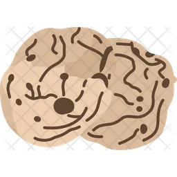 Cookie  Icon