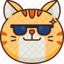 Cool Emoticon Cat Symbol