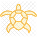 Coooter Schildkrote Icon