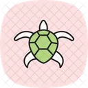 Tartaruga Coooter Tartaruga Cooter Reptil Ícone