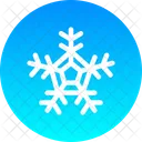 Copo De Nieve La Nieve Nuevo Icon