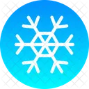 Copo De Nieve Nieve Invierno Icon