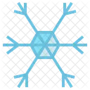 Copo De Nieve Nieve Hexagono Icon