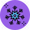 Copo De Nieve Nieve Invierno Icon