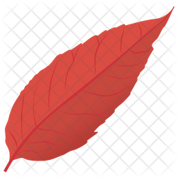 Copper Beech Icon