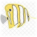 Copperband Butterfly Fish Icon