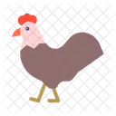 Coq Poulet Poule Icône